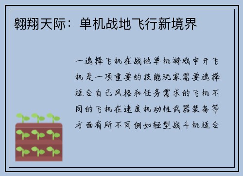 翱翔天际：单机战地飞行新境界