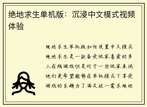 绝地求生单机版：沉浸中文模式视频体验