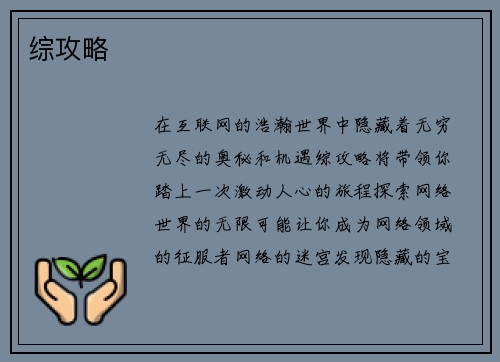 综攻略